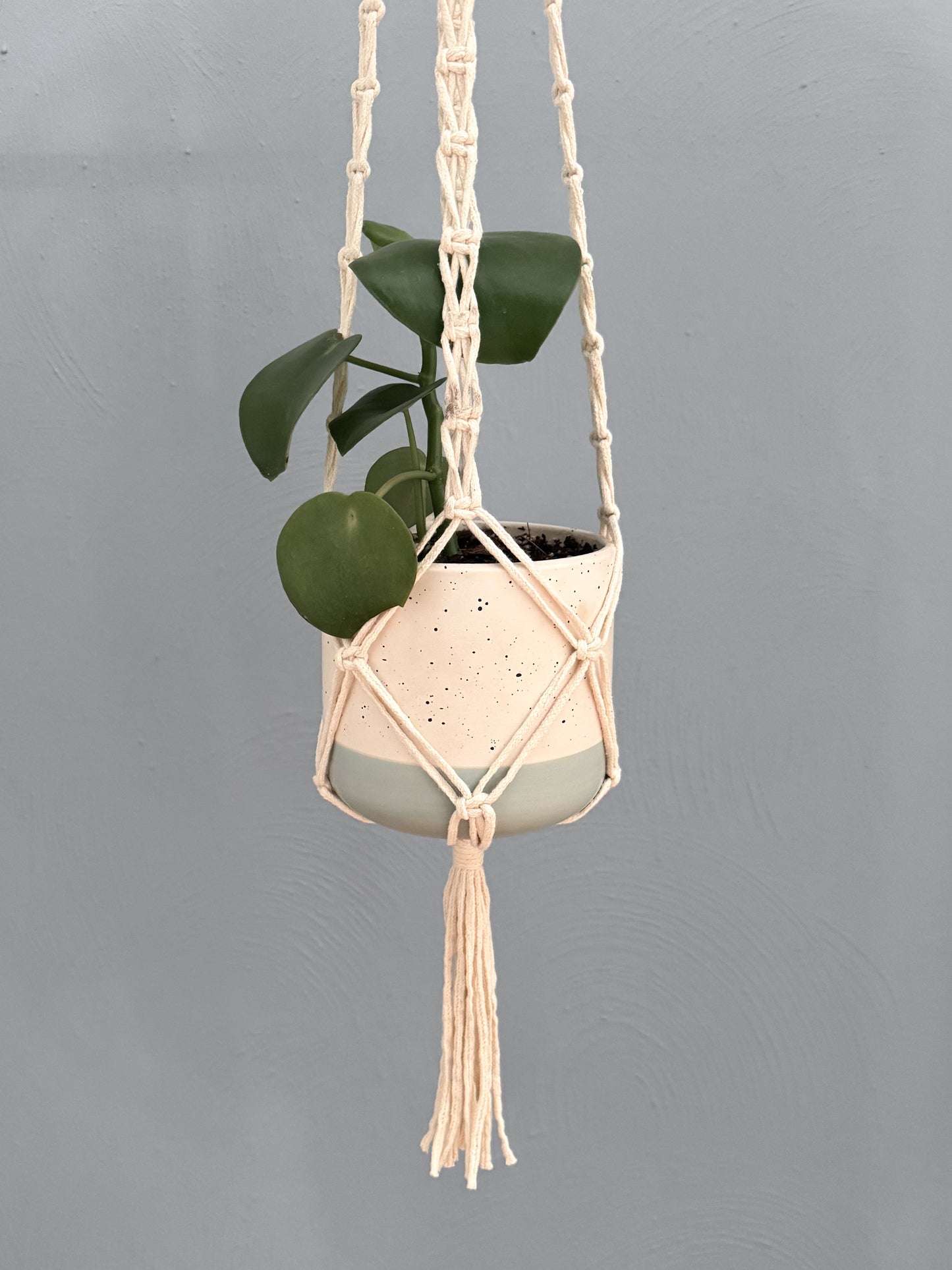 Patrón de Macramé - Maceteros
