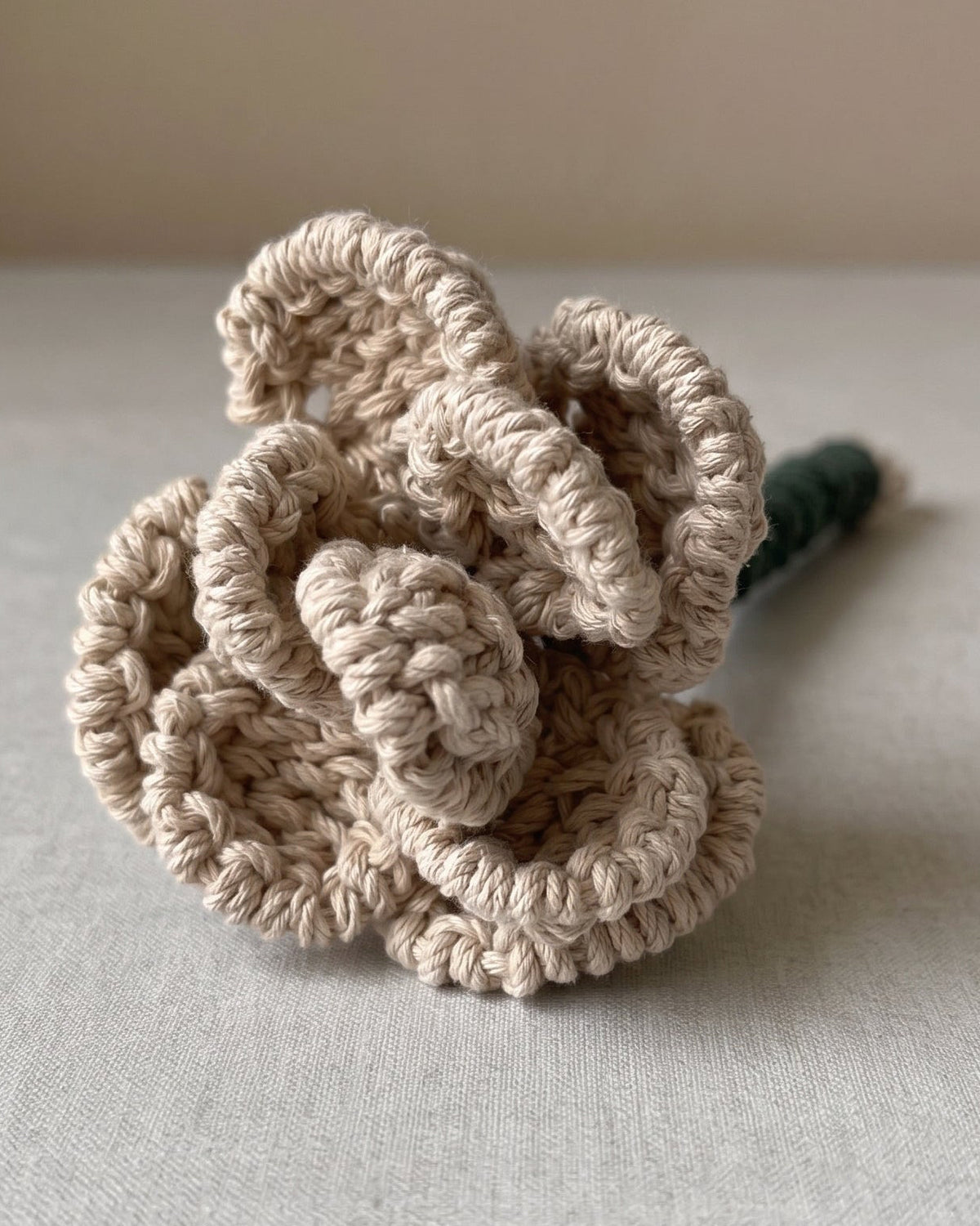 Patrón de Macramé - Flores Tejidas