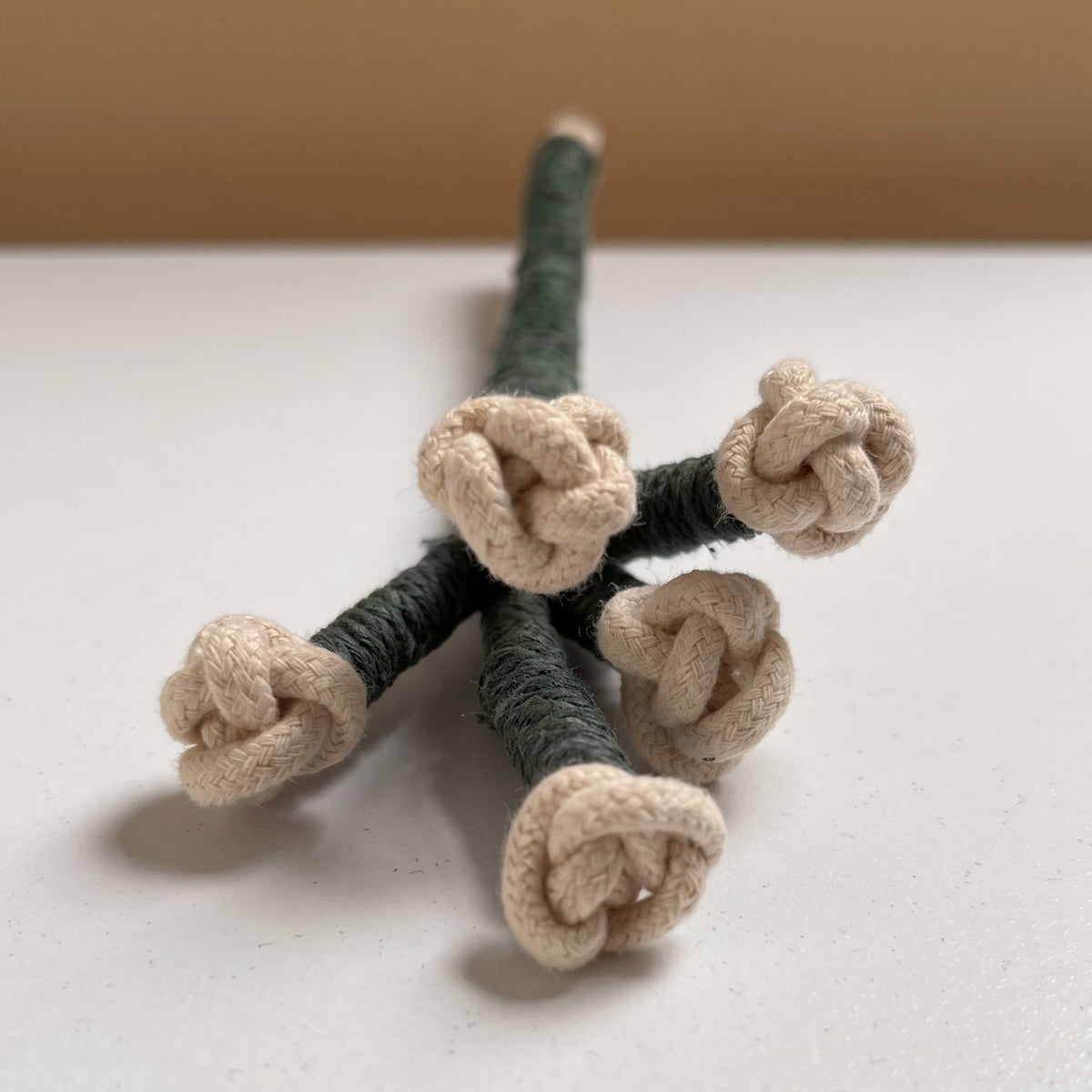Patrón de Macramé - Flores Tejidas